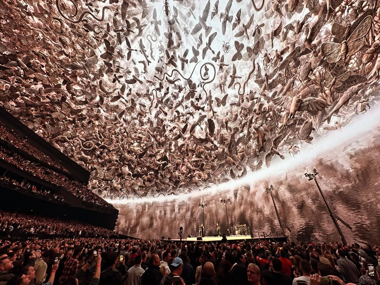 U2. INSANE SHOW.