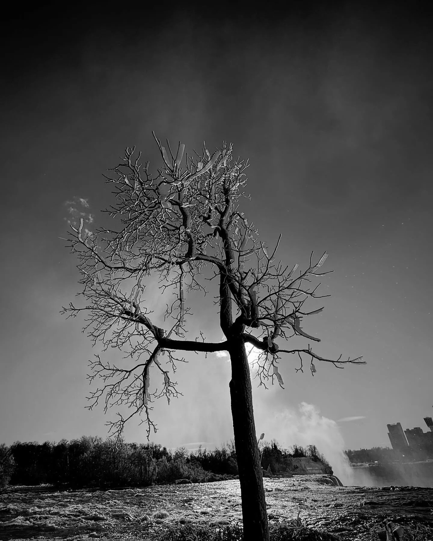 Iced tree at the falls
