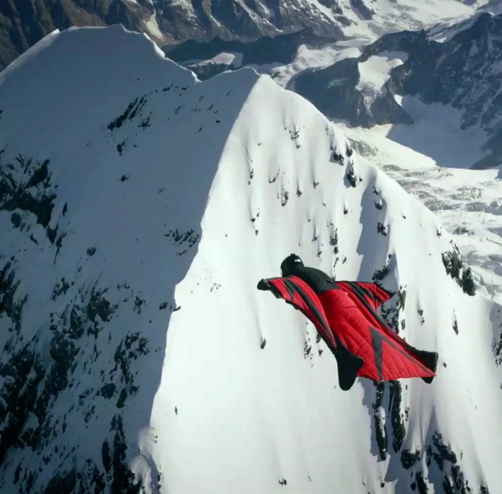 Perfect Flight IMAX